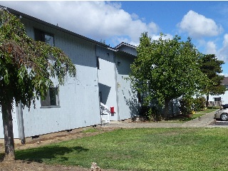 Affordable housing building with a staircase between two units and a tree in front.