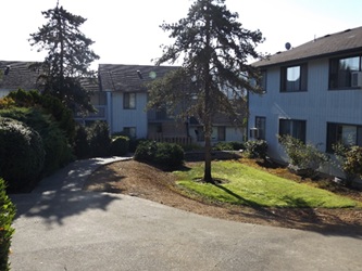 A large apartment complex with fir trees and manicured landscaping.