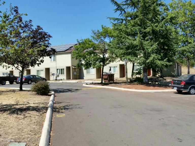 An apartment complex with a tree in front